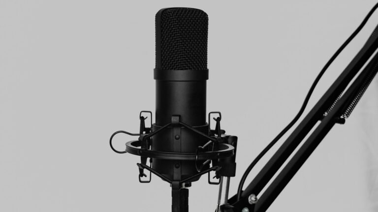 Câble audio de micro